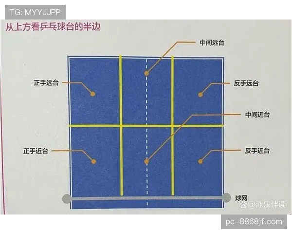 关于发球干扰规则的判定标准与适用场景解析